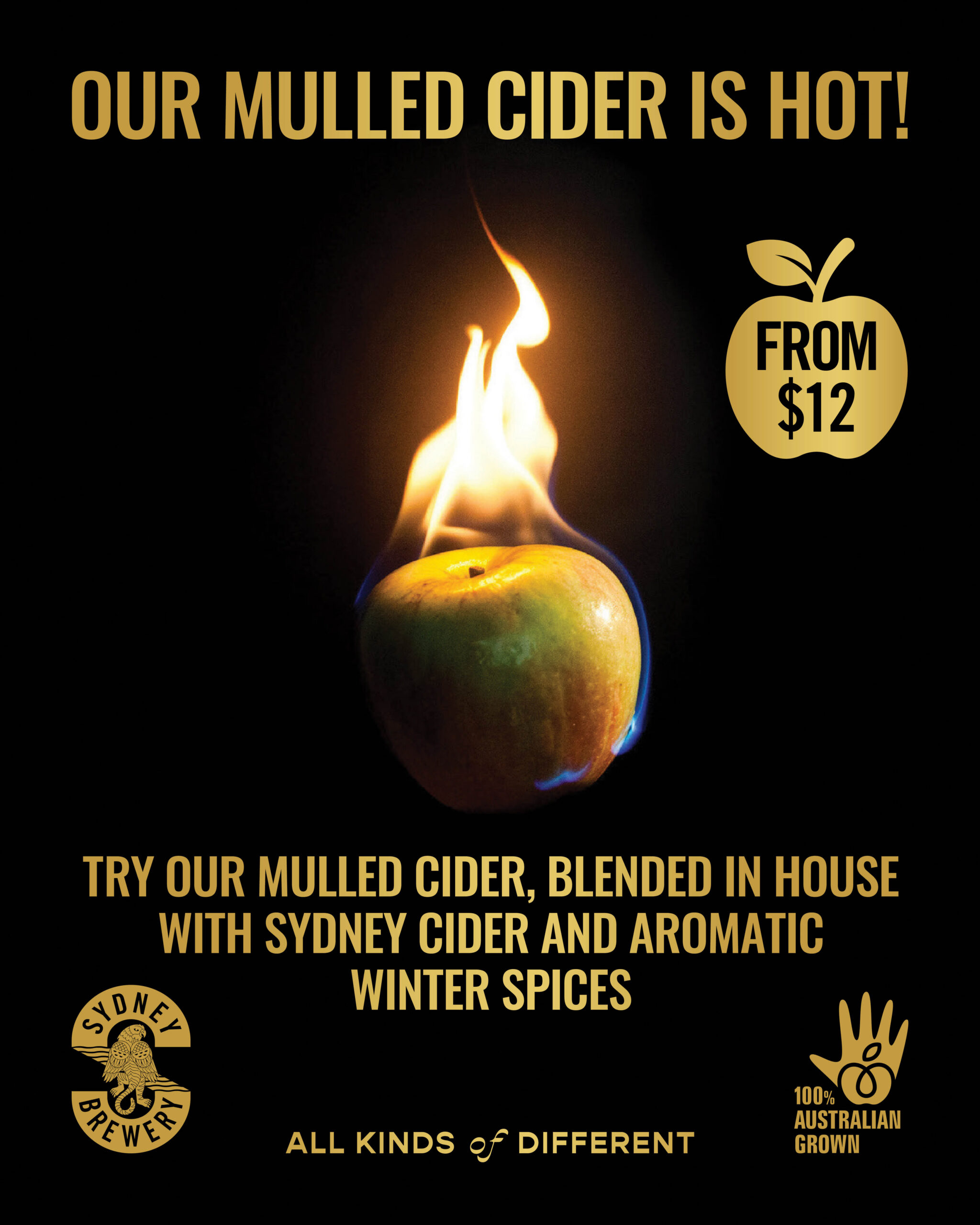 Mulled Cider (SBR) - Social (1)